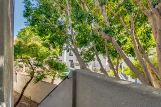 Photo #2: 6157330 Listing