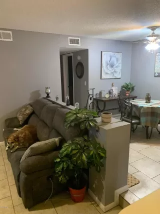 Photo #5: 6161264 Listing