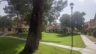 Photo #1: 6161538 Listing