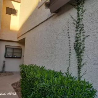 Photo #1: 6169721 Listing 