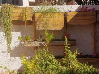 Photo #2: 6172088 Listing