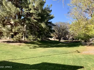 Photo #5: 6179856 Listing