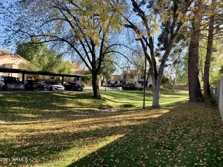 Photo #6: 6179856 Listing