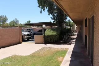 Photo #1: 6186490 Listing