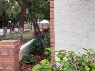 Photo #4: 6191765 Listing 