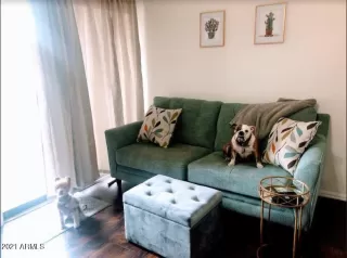 Photo #1: 6195673 Listing 