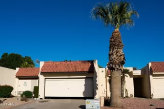 Photo #1: 6197266 Listing 