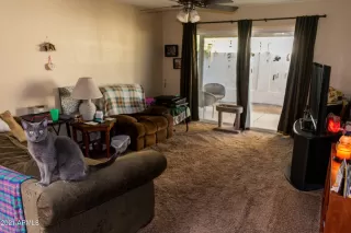 Photo #5: 6197266 Listing 