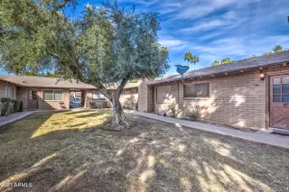 Photo #1: 6197769 Listing