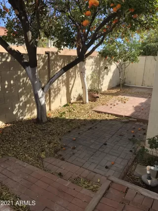 Photo #3: 6198579 Listing