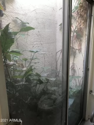 Photo #6: 6198579 Listing