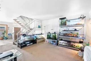 Photo #6: 6199658 Listing 