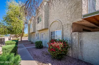 Photo #1: 6204346 Listing