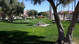 Photo #1: 6204626 Listing