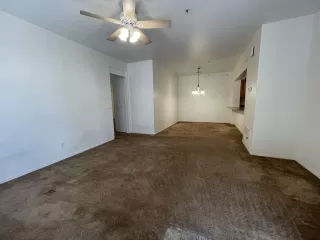 Photo #1: 6217016 Listing