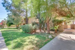 Photo #1: 6217895 Listing