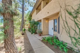 Photo #2: 6217895 Listing