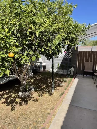 Photo #3: 6220465 Listing