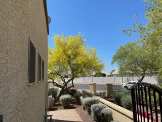 Photo #2: 6224868 Listing