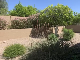 Photo #5: 6225570 Listing 