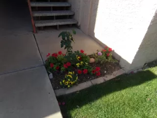 Photo #1: 6226045 Listing