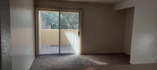 Photo #5: 6226356 Listing