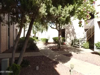 Photo #6: 6227102 Listing 