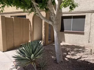 Photo #1: 6229624 Listing 