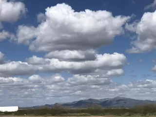 Photo #3: 6230655 Listing 