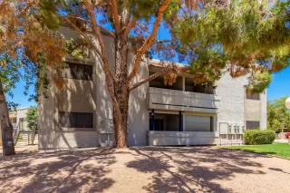 Photo #1: 6234830 Listing