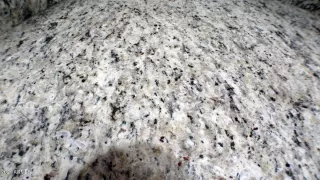 Photo #5: 6236040 Listing