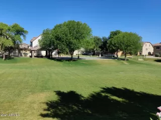 Photo #5: 6239156 Listing 