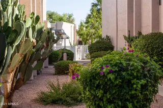 Photo #5: 6239275 Listing 