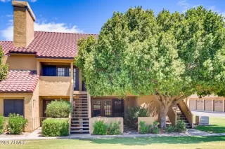 Photo #1: 6239764 Listing