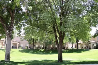 Photo #3: 6240817 Listing 