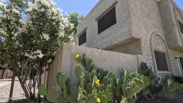 MLS: 6252660 Condo For Sale