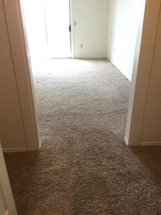 Photo #5: 6252953 Listing