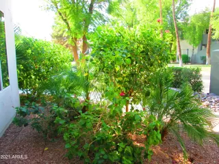 Photo #2: 6255993 Listing 