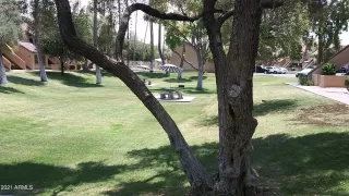 Photo #1: 6259587 Listing