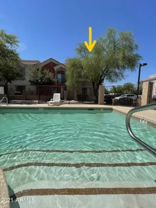 Photo #3: 6262824 Listing