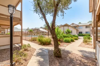 Photo #1: 6263921 Listing