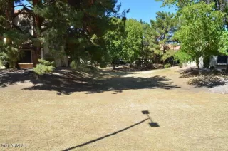 Photo #1: 6272960 Listing