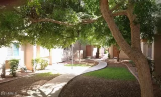 Photo #1: 6273440 Listing