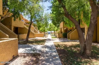 Photo #1: 6282396 Listing