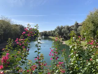 Photo #2: 6283456 Listing