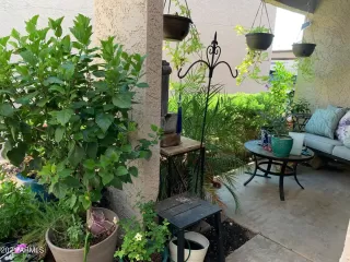 Photo #1: 6292526 Listing 