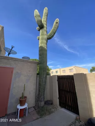 Photo #1: 6298800 Listing