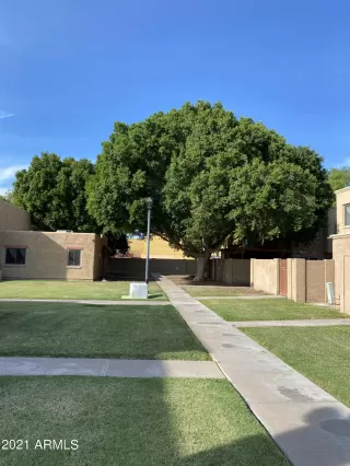 Photo #2: 6298800 Listing