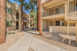 Photo #1: 6303918 Listing 