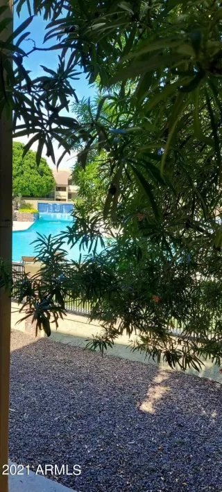 Photo #2: 6305037 Listing